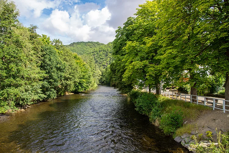 Blick auf die Rur in Nideggen-Abenden im Nationalpark Eifel